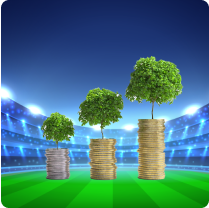 Hybrid Mutual Funds image