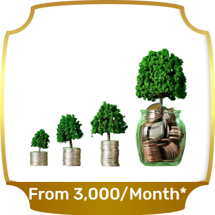 Investment Plans image