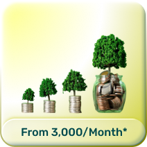 Investment Plans image