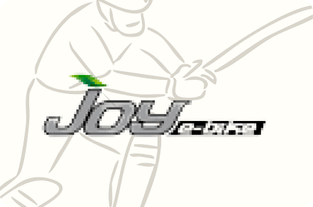 Joy E-bike image