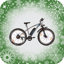 E-Bike image