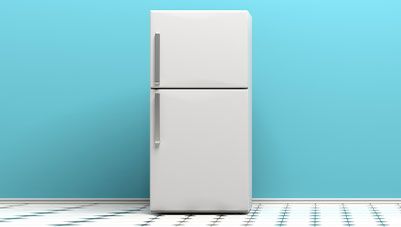 LG 45 L Direct Cool Single Door 1 Star Refrigerator Online at Best Price in  India