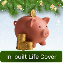 Savings Plan image