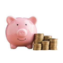 Savings Plan image