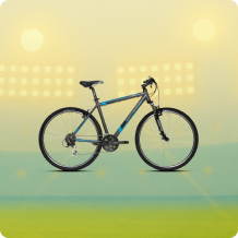 Cycles
