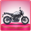 Yamaha XSR 155 image