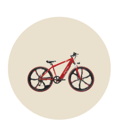 ई-बाइक image