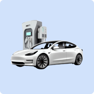 Electric image
