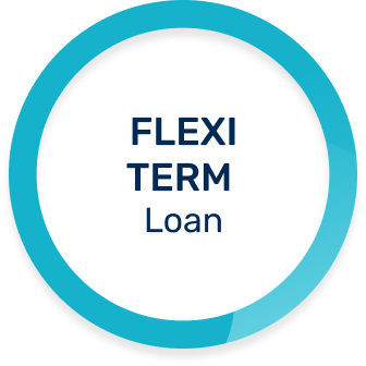 Flexi Term Loan